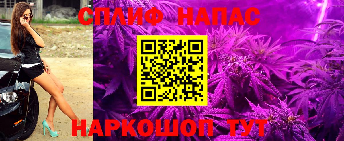 Бошки Шишки конопля  Бошки Шишки Bruce Banner  Ярославль  Вход с VPN  Конопля Bruce Banner 